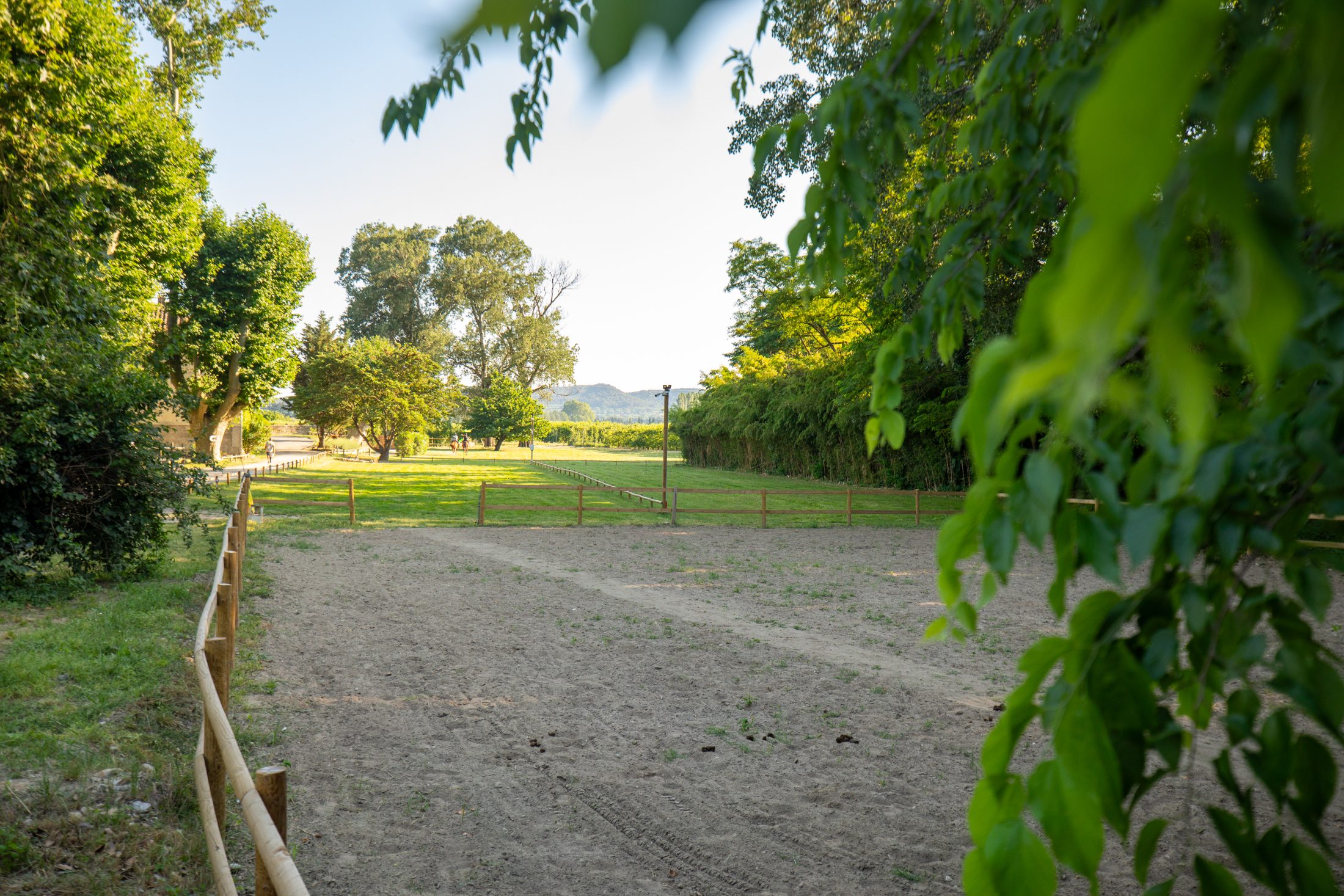 Carrière et paddocks du domaine
