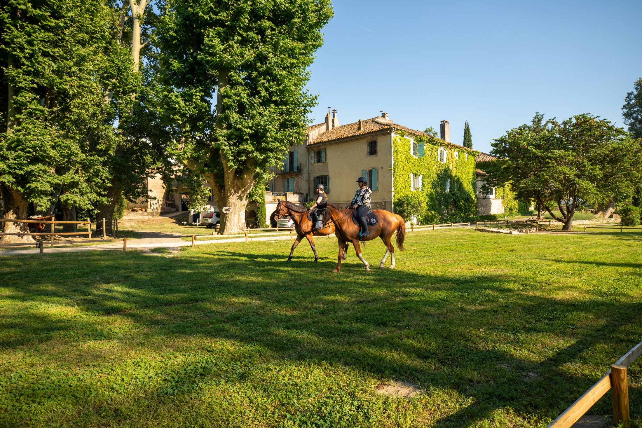 Cavaliers devant le mas habillé de vigne vierge